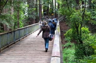 A photo of students walking on the UC Santa Cruz campus